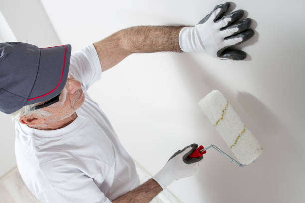 Best Emergency Mold Remediation  in Sycamore, IL