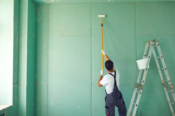 Best Mold Documentation for Insurance Claims  in Sycamore, IL