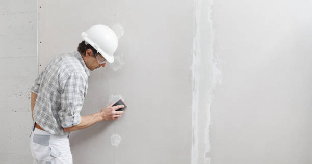 Best Post-Construction Mold Inspection  in Sycamore, IL