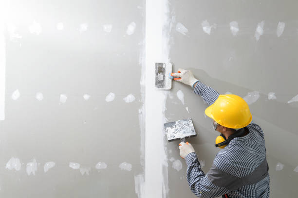 Best Mold Odor Removal Services  in Sycamore, IL