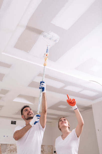 Best Airborne Mold Testing  in Sycamore, IL