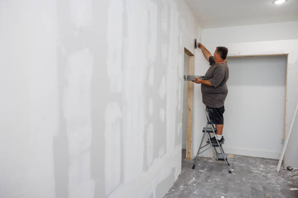 Best Mold Removal for HVAC Installations  in Sycamore, IL