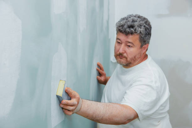 Best Environmental Consulting for Mold Prevention  in Sycamore, IL