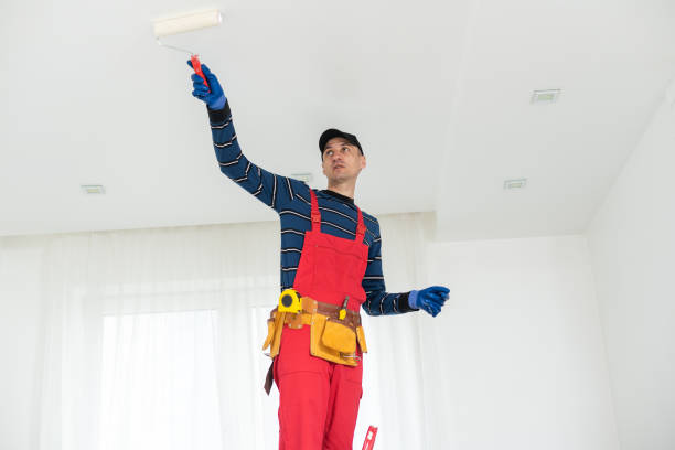 Best Black Mold Removal  in Sycamore, IL