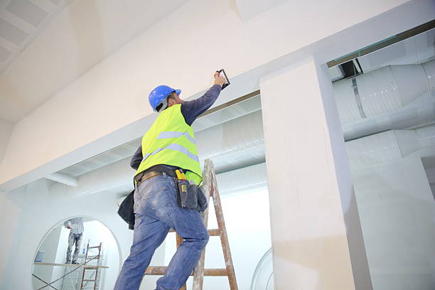 Best Mold Damage Restoration  in Sycamore, IL