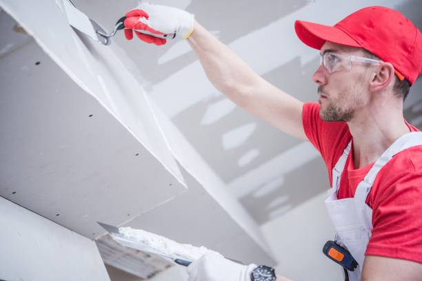 Best Asbestos and Lead Testing During Mold Inspection  in Sycamore, IL