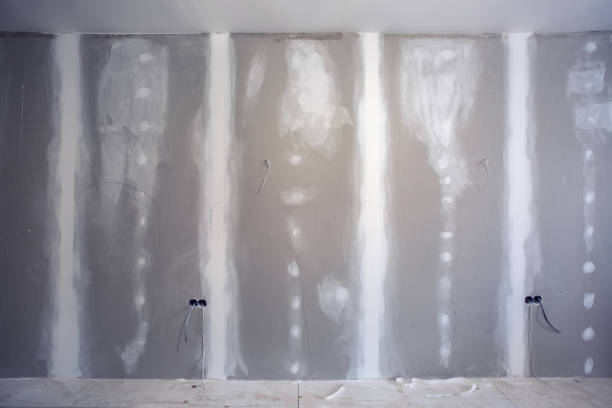Best Mold Prevention Services  in Sycamore, IL